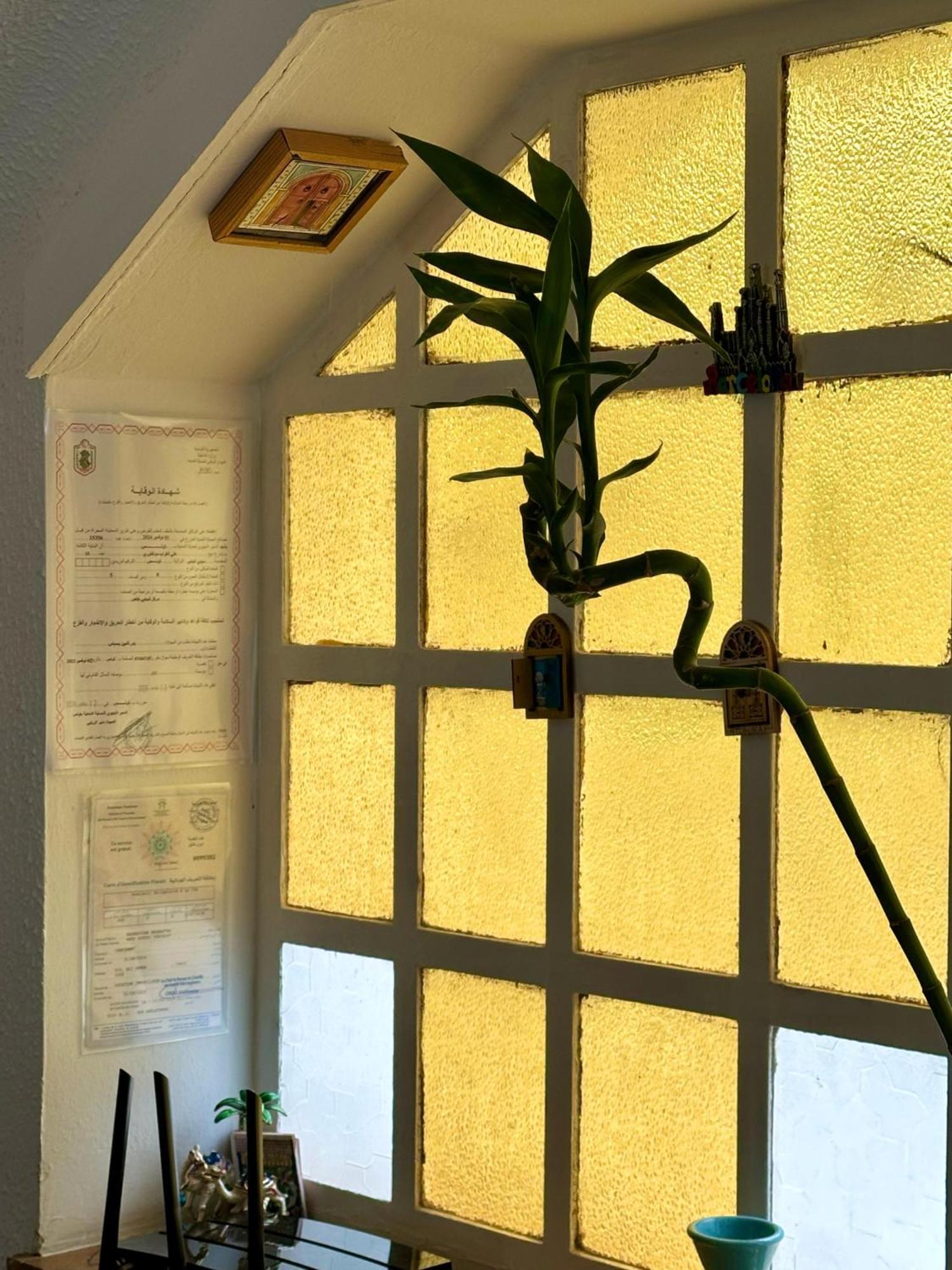 Nomads Hostel Tunisia Kültér fotó